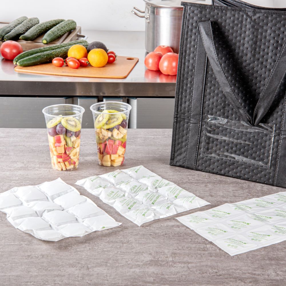 Delivery Tek Plastic Shipping Ice Pack - 3 x 4 Cells - 11 1/2" x 7 3/4" - 10 count box