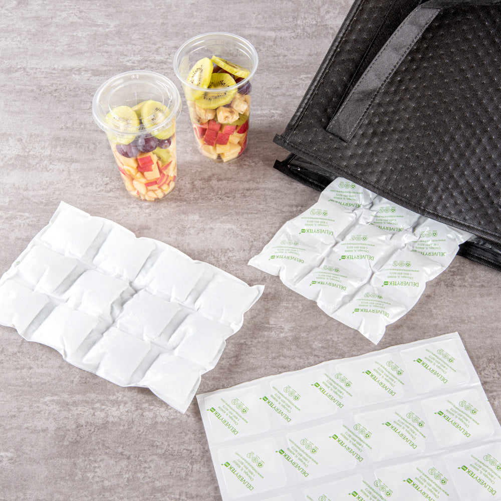 Delivery Tek Plastic Shipping Ice Pack - 3 x 4 Cells - 11 1/2" x 7 3/4" - 10 count box