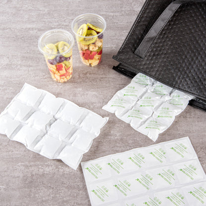 Delivery Tek Plastic Shipping Ice Pack - 3 x 4 Cells - 11 1/2" x 7 3/4" - 10 count box
