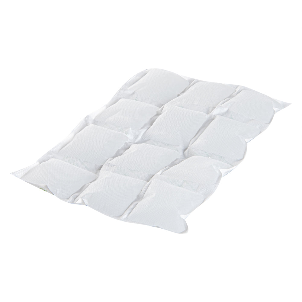 Delivery Tek Plastic Shipping Ice Pack - 3 x 4 Cells - 11 1/2" x 7 3/4" - 100 count box