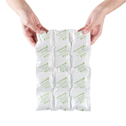 Delivery Tek Plastic Shipping Ice Pack - 3 x 4 Cells - 11 1/2" x 7 3/4" - 100 count box