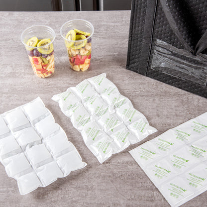 Delivery Tek Plastic Shipping Ice Pack - 3 x 4 Cells - 11 1/2" x 7 3/4" - 100 count box