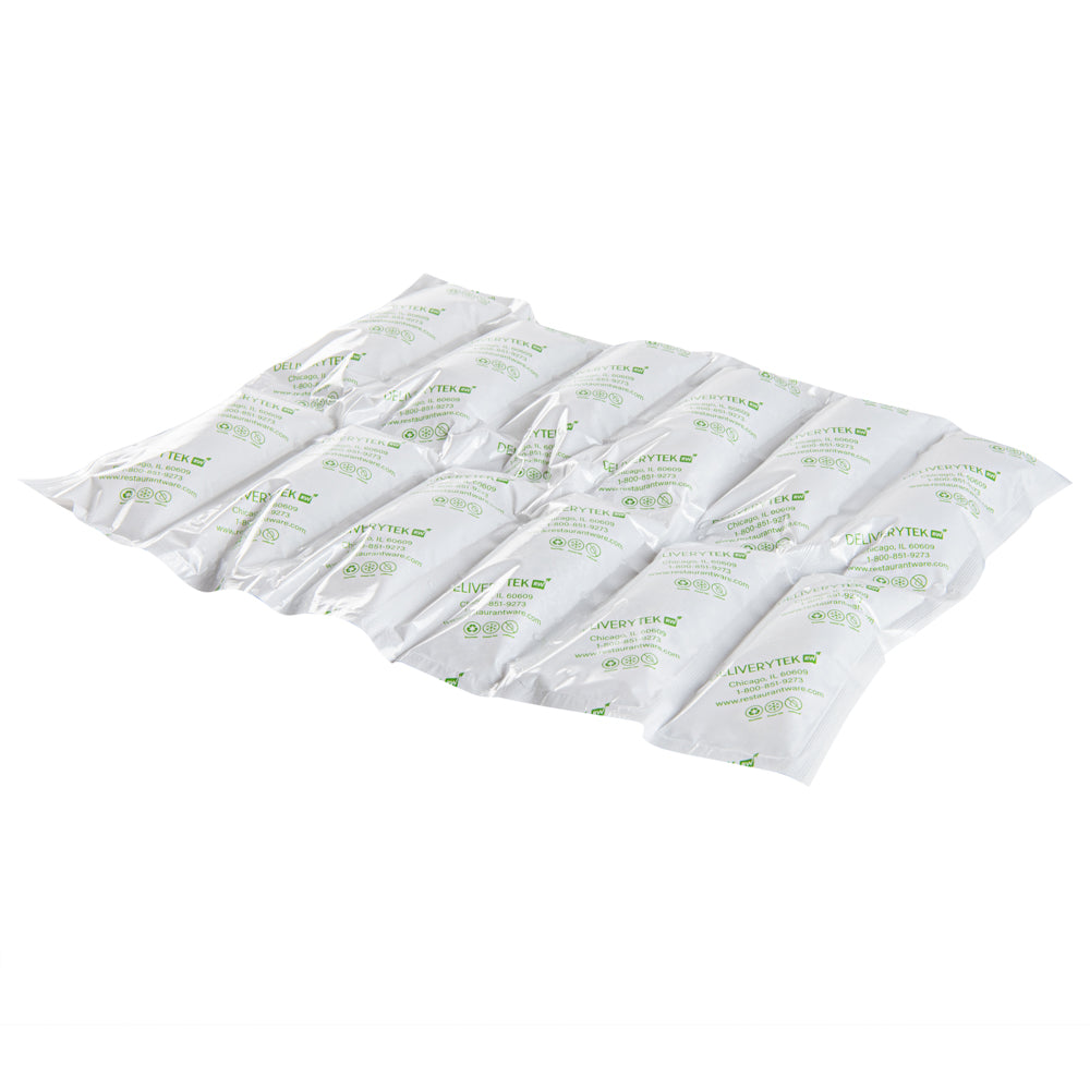 Delivery Tek Plastic Shipping Ice Pack - 2 x 6 Cells - 15 1/4" x 11 1/2" - 10 count box
