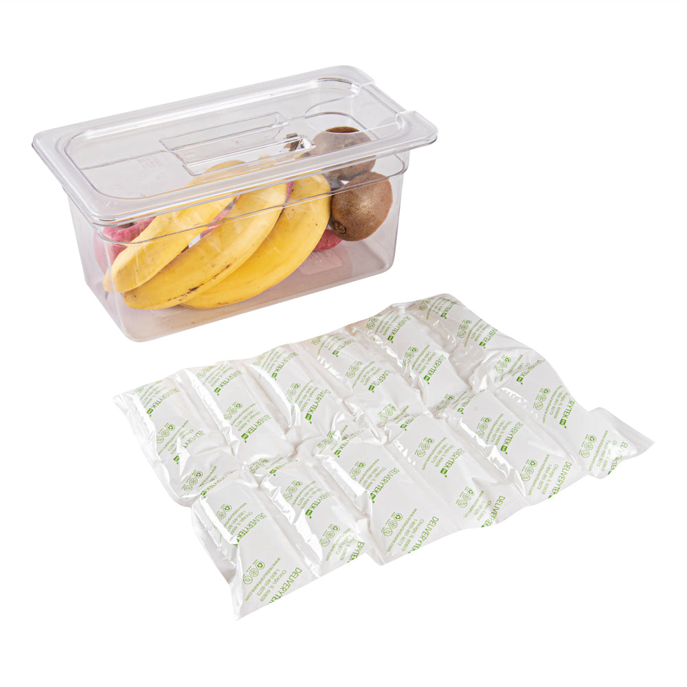 Delivery Tek Plastic Shipping Ice Pack - 2 x 6 Cells - 15 1/4" x 11 1/2" - 10 count box