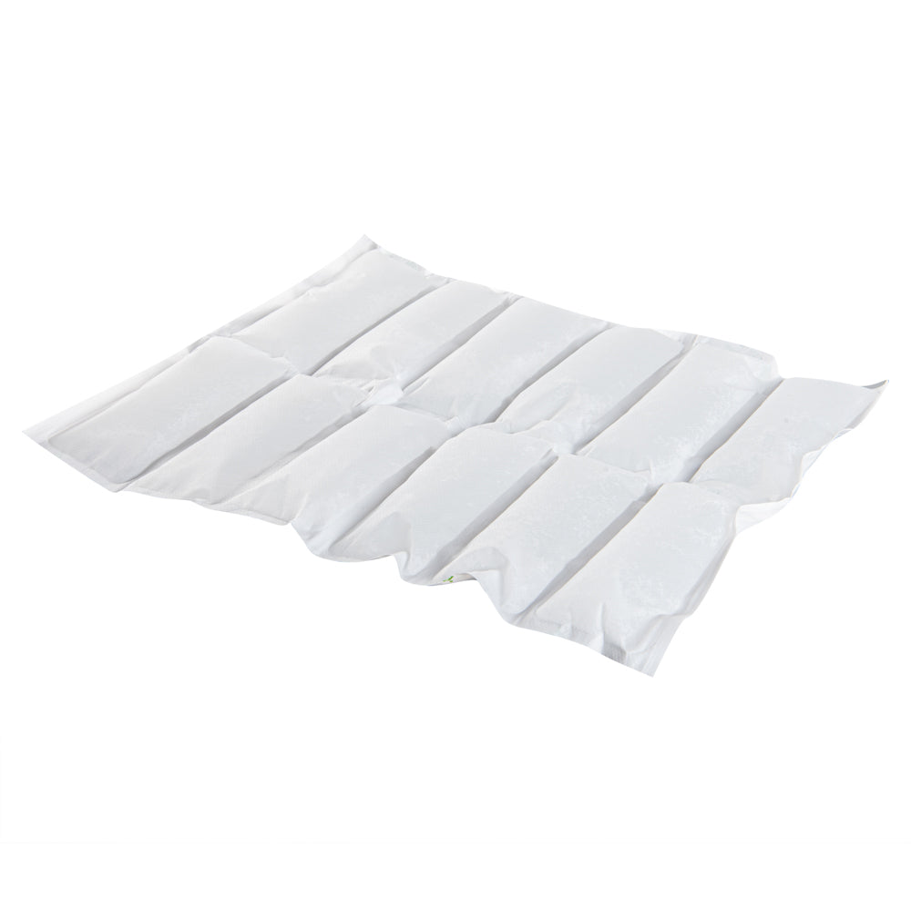 Delivery Tek Plastic Shipping Ice Pack - 2 x 6 Cells - 15 1/4" x 11 1/2" - 10 count box