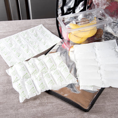 Delivery Tek Plastic Shipping Ice Pack - 2 x 6 Cells - 15 1/4" x 11 1/2" - 100 count box