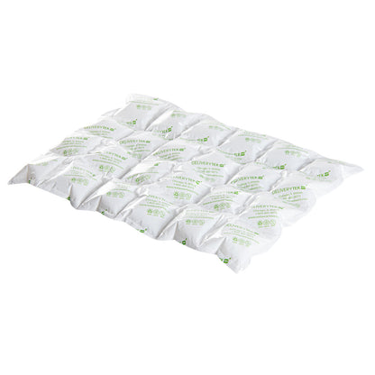 Delivery Tek Plastic Shipping Ice Pack - 4 x 6 Cells - 15 1/4" x 11 1/2" - 10 count box