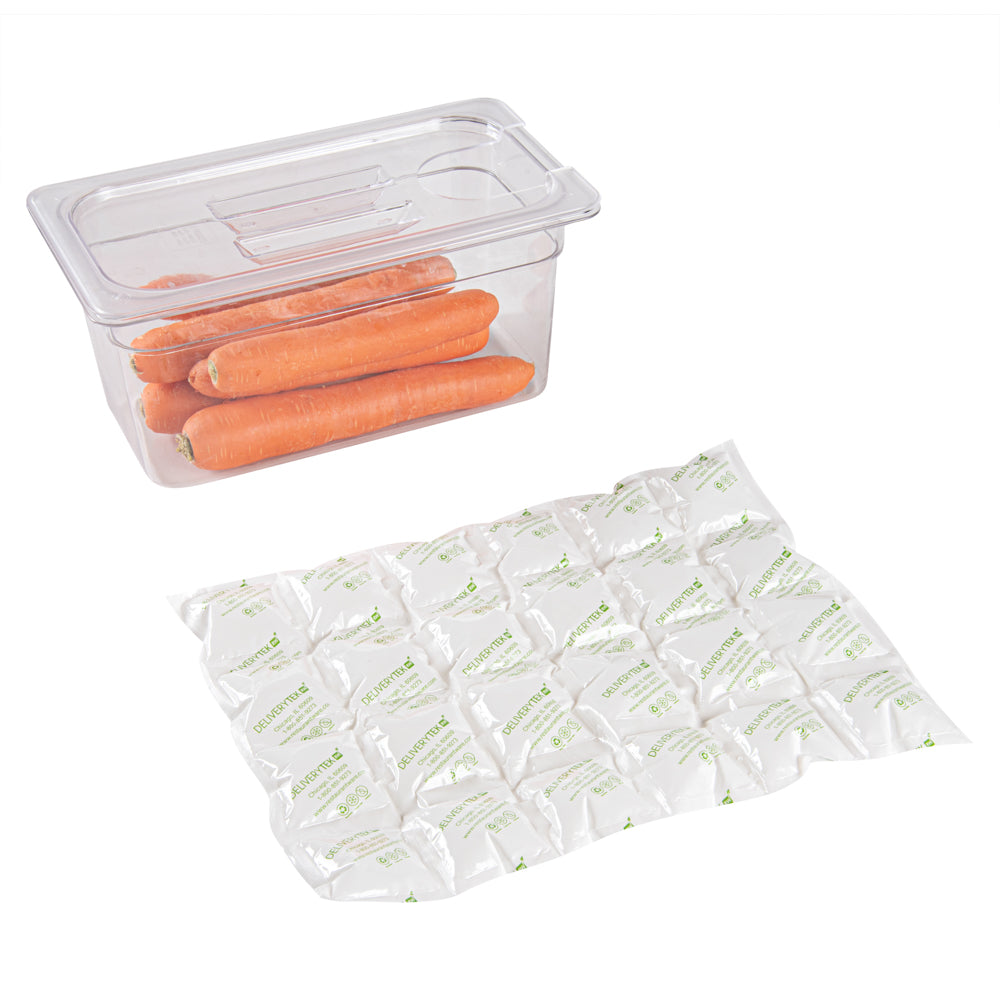 Delivery Tek Plastic Shipping Ice Pack - 4 x 6 Cells - 15 1/4" x 11 1/2" - 10 count box