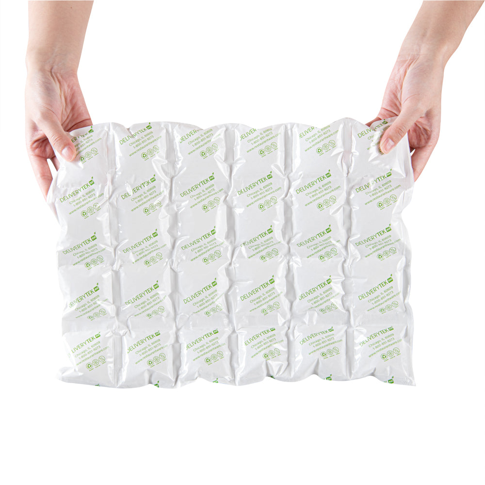 Delivery Tek Plastic Shipping Ice Pack - 4 x 6 Cells - 15 1/4" x 11 1/2" - 10 count box