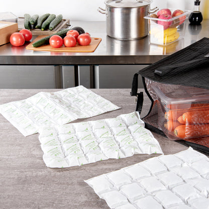 Delivery Tek Plastic Shipping Ice Pack - 4 x 6 Cells - 15 1/4" x 11 1/2" - 10 count box