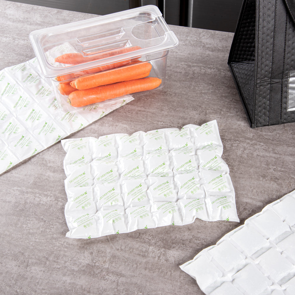 Delivery Tek Plastic Shipping Ice Pack - 4 x 6 Cells - 15 1/4" x 11 1/2" - 100 count box