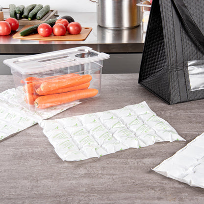 Delivery Tek Plastic Shipping Ice Pack - 4 x 6 Cells - 15 1/4" x 11 1/2" - 100 count box