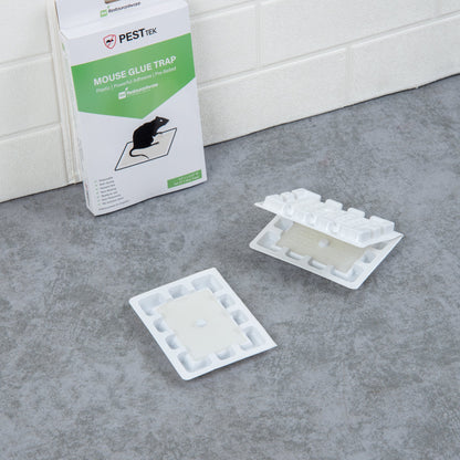 Pest Tek Plastic Mouse Glue Trap - Set of 4 - 4 1/2" x 3 1/4" x 1/2" - 10 count box