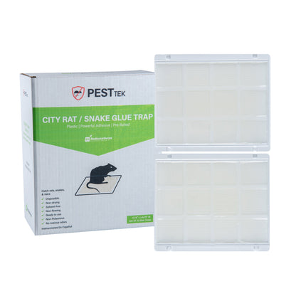 Pest Tek Plastic City Rat / Snake Glue Trap - Set of 12 - 11 3/4" x 9 3/4" x 1/2" - 1 count box