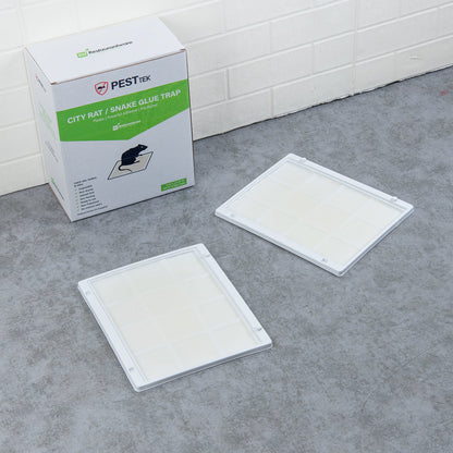 Pest Tek Plastic City Rat / Snake Glue Trap - Set of 12 - 11 3/4" x 9 3/4" x 1/2" - 1 count box