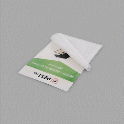 Pest Tek Paper Insect / Mouse Glue Board Trap - Set of 2 - 8 1/4" x 5 1/4" - 1 count box