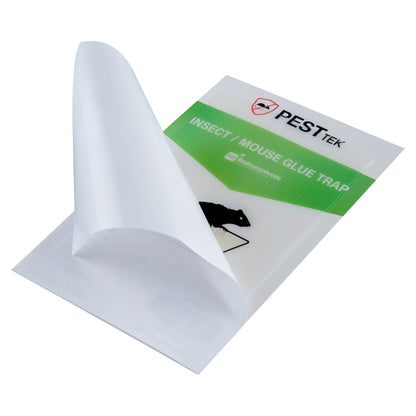 Pest Tek Paper Insect / Mouse Glue Board Trap - Set of 2 - 8 1/4" x 5 1/4" - 1 count box