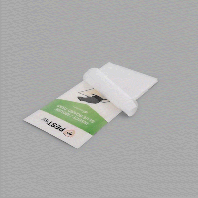 Pest Tek Paper Insect / Mouse Glue Board Trap - Set of 24 - 11" x 5 1/4" - 10 count box