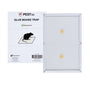Pest Tek Paper Glue Board Trap - for Rat, Mouse, Snake and Roach - 8 1/2" x 6 1/2" x 1/2" - 1 count box
