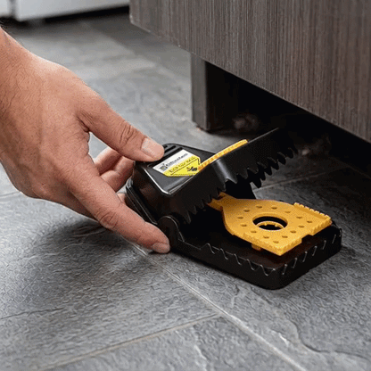 Pest Tek Black Plastic Mouse Trap - Interlocking Teeth, Bait Cap, Reusable - 6" x 3" x 2 3/4" - 6 count box