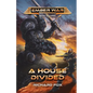 A House Divided - Paperback