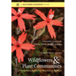 Wildflowers and Plant Communities of the Southern Appalachian Mountains and Piedmont: A Naturalist's Guide to the Carolinas, Virginia, Tennessee, and - Paperback