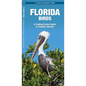 Florida Birds: A Folding Pocket Guide to Familiar Species