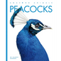 Peacocks - Library Binding
