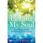 Finding My Soul: Five Years at the Findhorn Community - Paperback