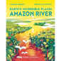 Amazon River - Paperback