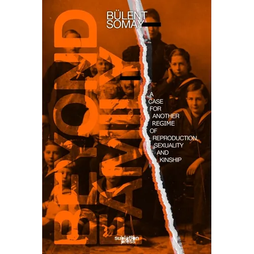 Beyond Family: A Case for Another Regime of Reproduction, Sexuality and Kinship - Paperback