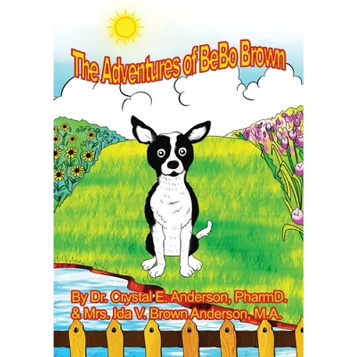 The Adventures of Bebo - Paperback