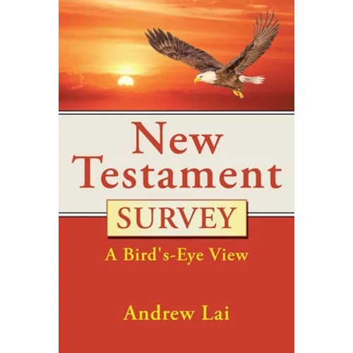 New Testament Survey: A Bird's-Eye View - Paperback