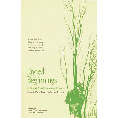 Ended Beginnings: Healing Childbearing Losses - Paperback