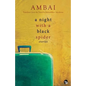 A Night with a Black Spider - Paperback