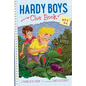 Bug-Napped - Hardcover