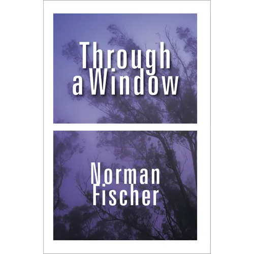 Through a Window - Paperback