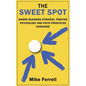 The Sweet Spot: Where Business Strategy, Positive Psychology and Faith Principles Converge - Paperback