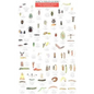 Mac's Field Guides: Northeast Garden Bugs