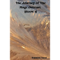 The Journey of the mage outcast - Paperback