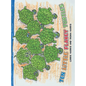 Ten Little Flakey Turtles - Hardcover