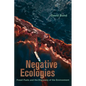 Negative Ecologies: Fossil Fuels and the Discovery of the Environment - Hardcover