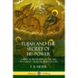 Elijah and the Secret of His Power: A Biblical Biography of the Old Testament - Elias, Prophet of God - Paperback
