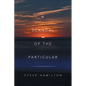 A Scandal of the Particular - Paperback