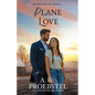 Plane Love: A Sweet Contemporary Romance - Paperback