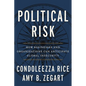 Political Risk: How Businesses and Organizations Can Anticipate Global Insecurity - Paperback