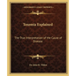 Toxemia Explained: The True Interpretation of the Cause of Disease - Paperback