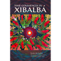 Time Commences in Xibalbá - Paperback