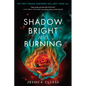 A Shadow Bright and Burning (Kingdom on Fire, Book One) - Paperback