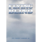 Flying Blind - Hardcover